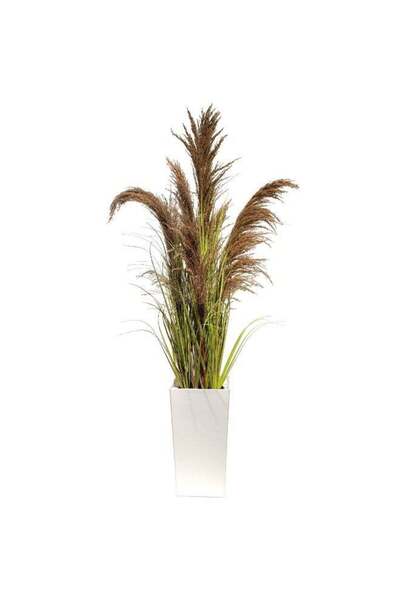 Generic Natural Pampas Grass with Tall White Planter Reed Grass Plant,Faux Pl...