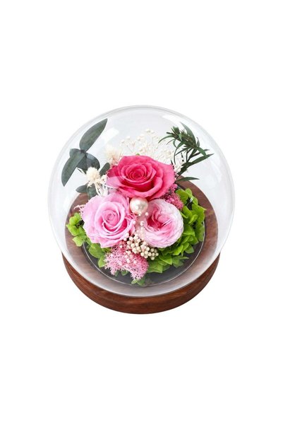 Generic Preserved Pink Rose Flower in Glass Dome 12cm | Romantic Gift & Home ...