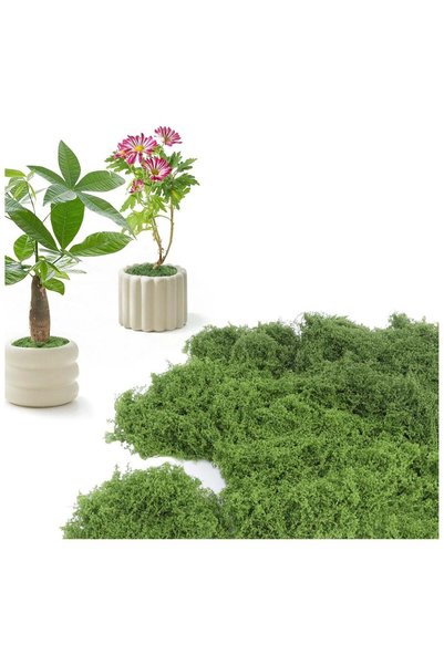 Generic Artificial Moss 100g Faux Moss Artificial Plants Outdoor Dried Moss f...