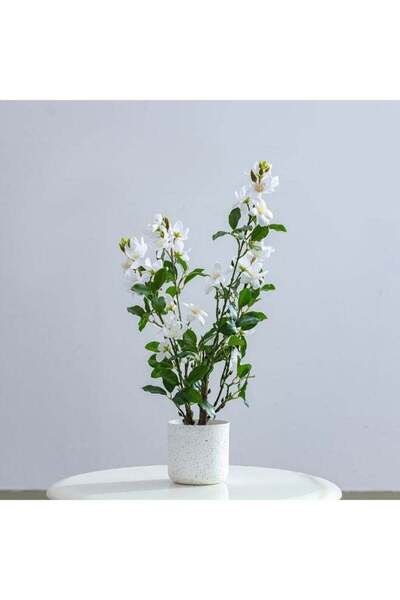 Generic Gardenia Artificial Plant – 55 cm Faux Blooming Shrub for Elegant Tab...