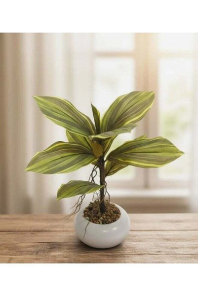 Generic AKDC Artificial Kiwi Plant - Plastic with Ceramic Pot, Exotic Vines f...