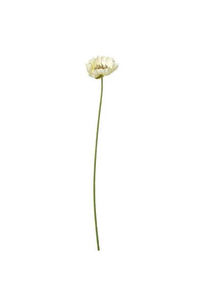 Generic Artificial Flower, Poppy, White, In/Outdoor, 51 cm