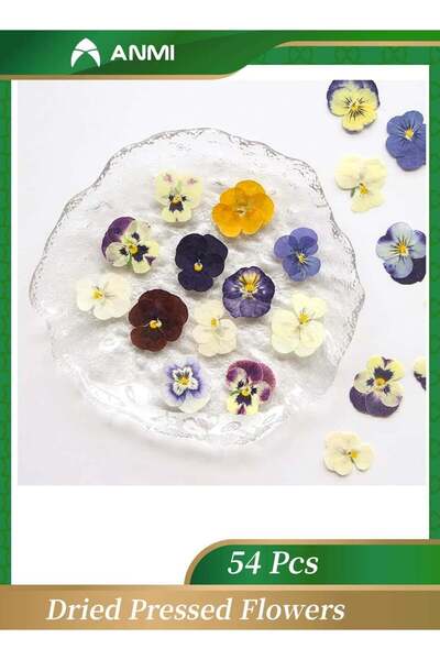 Generic 54 Pcs Natural Dried Flowers for Resin Art, Pressed Pansy Decor for E...