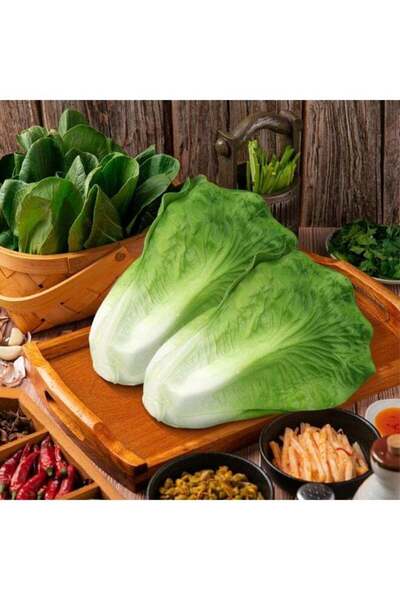 Generic LATIFA Artificial Lettuce, Fake Vegetable, Artificial Vegetables for ...