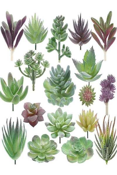 Generic 18 mini artificial succulent plants, used for flower walls, garden de...