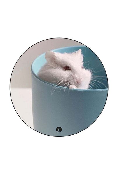 Generic Hamster Printed Fridge Magnet Multicolour