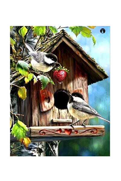 Generic Bird House Themed Metallic Plate Blue/Green/Red 20x15cm