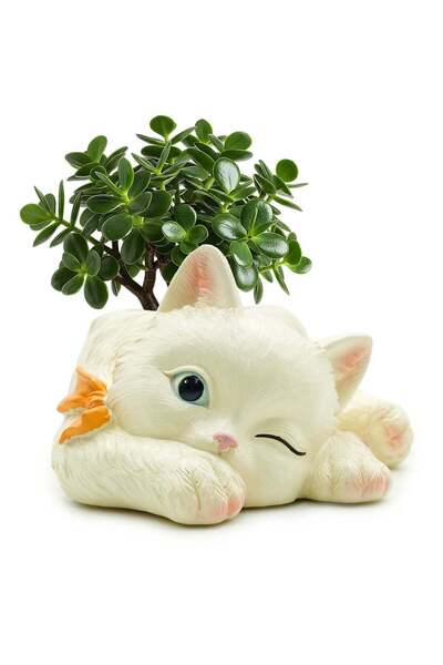 Generic Peek A Boo Cat Cartoon Flower Pot Polyresin Cute Cat Succulent Plante...