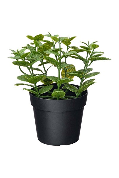 Generic Artificial Potted Mint Herb Plant, In/Outdoor, Green, 9 cm Pot