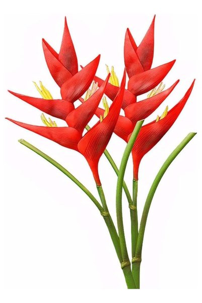 Generic 2pcs 33.5 inch Artificial Heliconia Bird of Paradise Artificial Flowe...