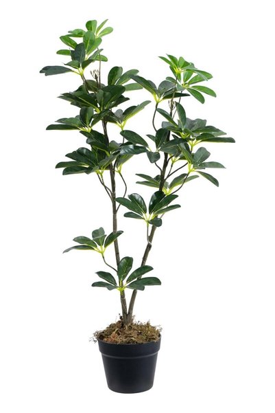 Generic Artificial Green Indoor Plant 85cm, Realistic Decorative Foliage Plan...