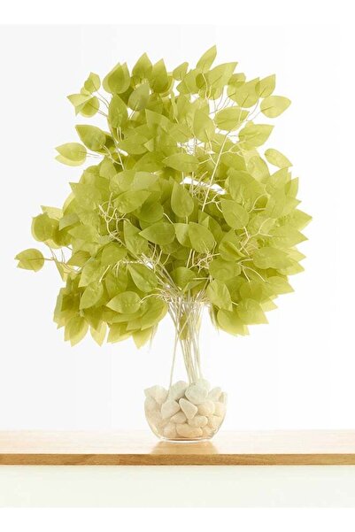 Generic Ficus 12pc Leaves Stick with 36 Branches– Light Green | 52cm Artifici...
