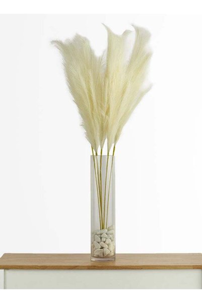 Generic Pampas Grass 6pc Stick – Off White | 38cm Artificial Stick | Great as...