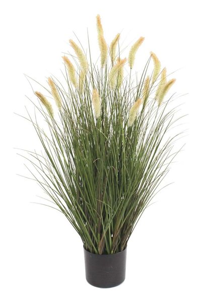 Generic MARCOLO Artificial Grass Plant with Pot, Faux Pampas Foxtail Grass, T...