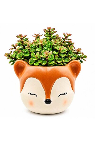 Generic Fox Succulent Planter, Cute Polyresin Animal Flower Pot, Decorative M...