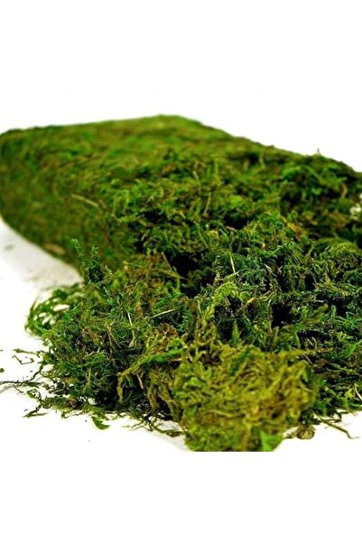 Generic 400g Artificial Moss Fake Green Grass for Centerpieces Home Kitchen G...
