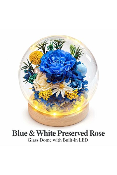 Generic Preserved Flowers in Glass Dome | 15cm | 3-5 Year Freshness | Ideal G...