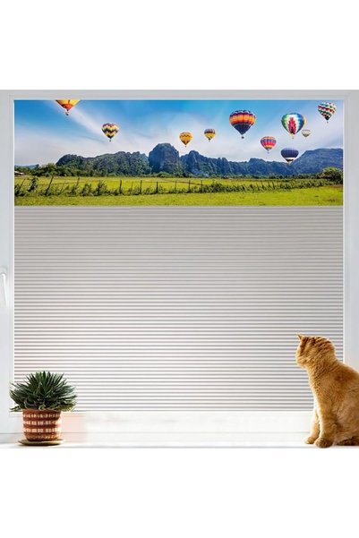 GENERAL Window Film Privacy Frosted Glass Film 30 x 300 cm Self Adhesive Stat...