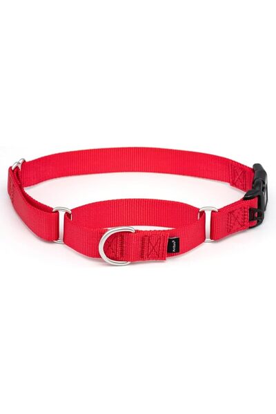 PetSafe طوق مارتنجال مع مشبك سريع الفتح - طوق كلب قابل للتعديل ومضاد للانزلاق...