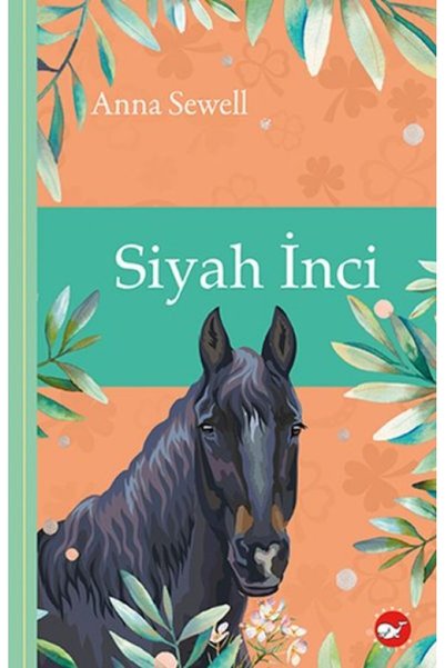 ARNEER Klasikleri Okuyorum - Siyah
