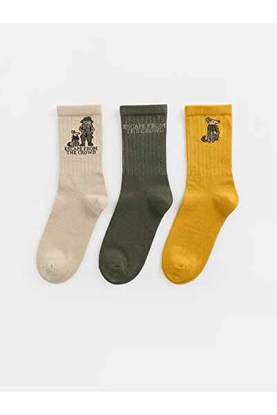 LC Waikiki Rmz Gi̇yi̇m Farkiyla Embroidered Boys' Socks 3-Piece Set