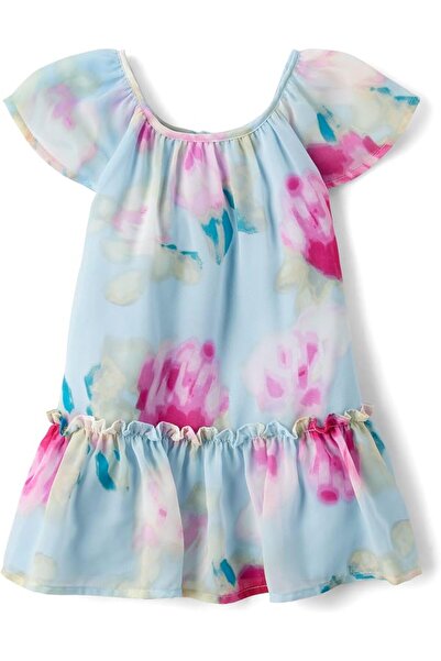 The Children's Place Baby Girls' and Toddler Sleeveless Holiday Dressy Dress