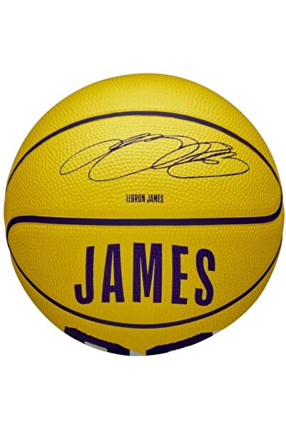 Wilson Icon Jucător NBA LeBron James Minge Mini WZ4027701XB Baschet