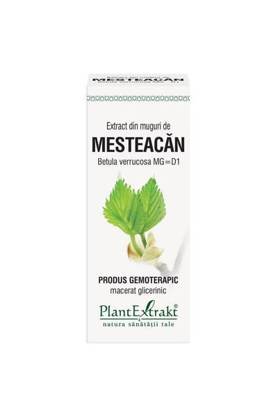 Plantextrakt Extract de muguri de mesteacăn 50ml
