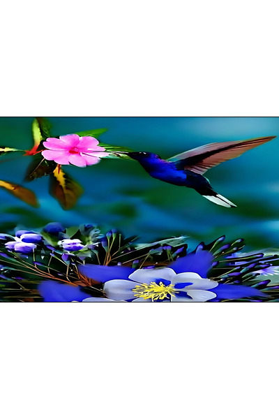 Paspas Galerisi Door Mat with Digital Printing