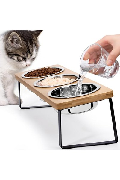GENERAL Elevated Cat Bowls for Food and Water - Loplurea 15° Tilted Raised 3 ...