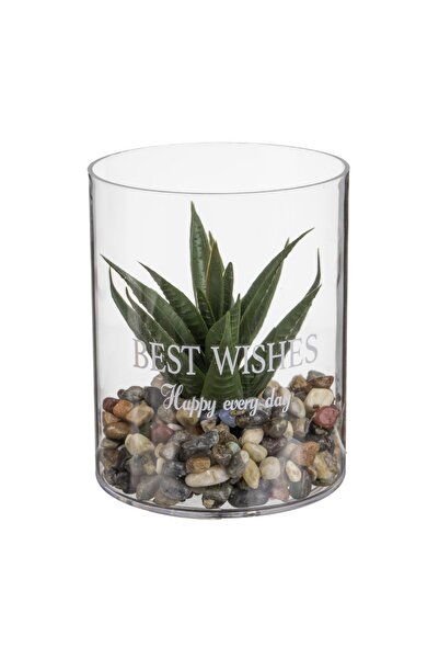 OEM Vază din Plastic Transparent cu Planta Verde Ø8x10cm – decor gata de așez...
