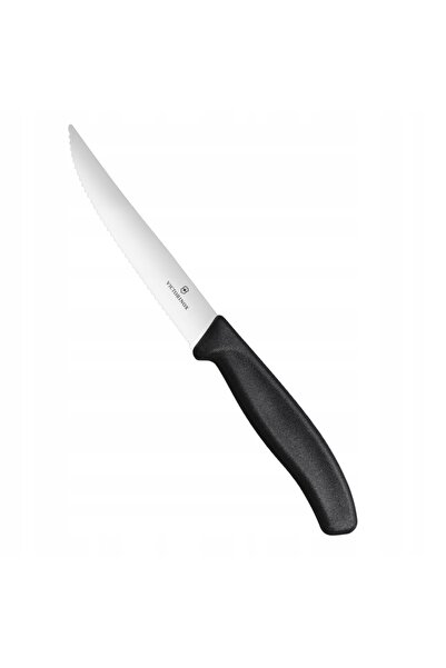 HENDI Set profesional de cuțite pentru friptură, 2 piese Victorinox 6.7933.12B