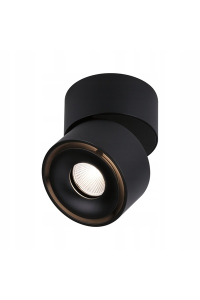 Paulmann Spot de tavan rotund negru