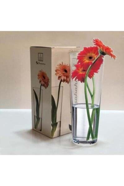 Generic Pasabahce Botanica Vase 260mm – Premium Clear Glass Flower Vase for E...