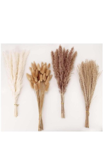 Generic 100 PCS Dried Pampas Grass Decor,Pampas Grass Contains Bunny Tails Dr...
