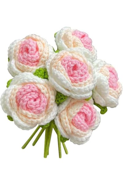 Generic 6PCS Hand-Woven Roses,Crochet Knitted Rose Flower Bouquet, Handmade R...