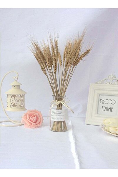 Generic Clear Glass Vase Craft Aesthetic Decorative Small Flower Vase Hydropo...