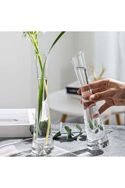 Generic 2 Pcs Test Tube Vase, Test Tubes for Flowers, Creative Test Tubes Gla...