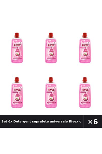 Rivex Set 6x Detergent suprafete universale cu mosc, 1 l
