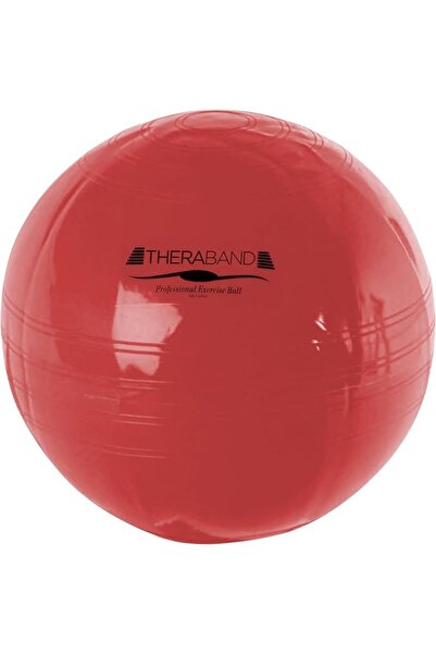 THERABAND Gym Exercise 55cm Ball for Sport Training , Yoga and Fitness, Home ...