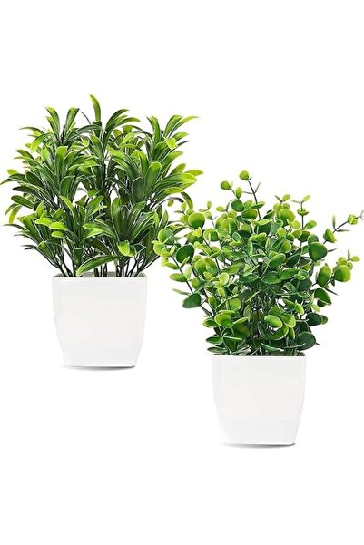 GENERAL Ksenzzi Artificial Plant, 22 cm High, 2 Pieces, Cactus and Poplar, Eu...