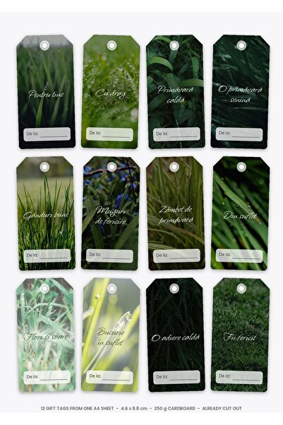 OEM Gift Tags Set Spring Breeze, 12 Pieces, Cardboard 250g, 4.6x8.8 cm