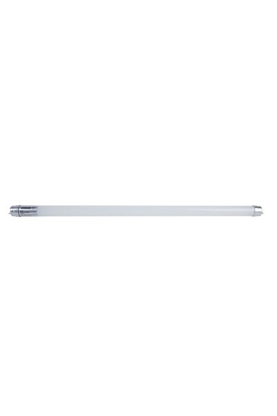 OEM Tub LED Neon 0.6 M, 8 W, 4000K Osram