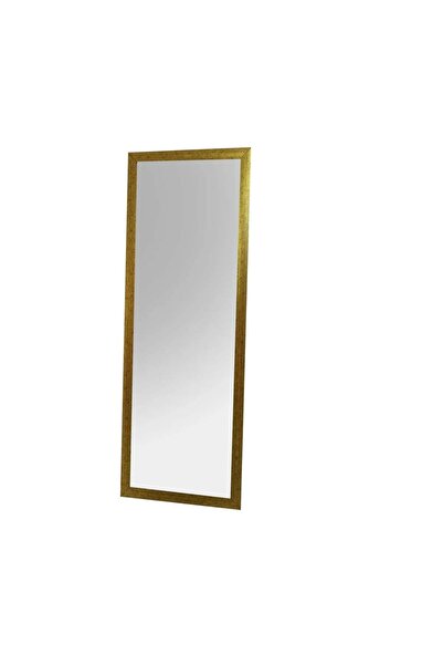 Hanah Home cheval mirror, plastic frame, wall mounting, 40x105cm, Gold