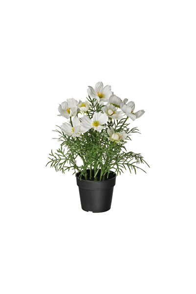 IKEA Fejka Artificial Plant, White-Green, 9 Cm, Cosmos, Indoor-Outdoor