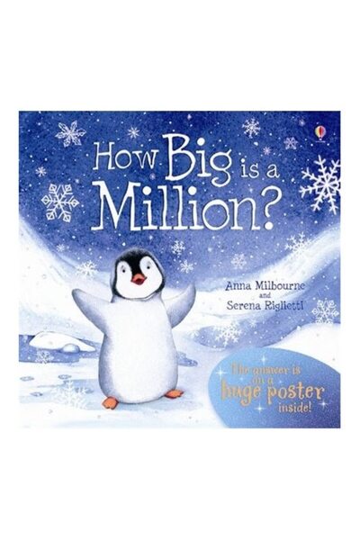 Usborne How Big is a Million - Book (1+)