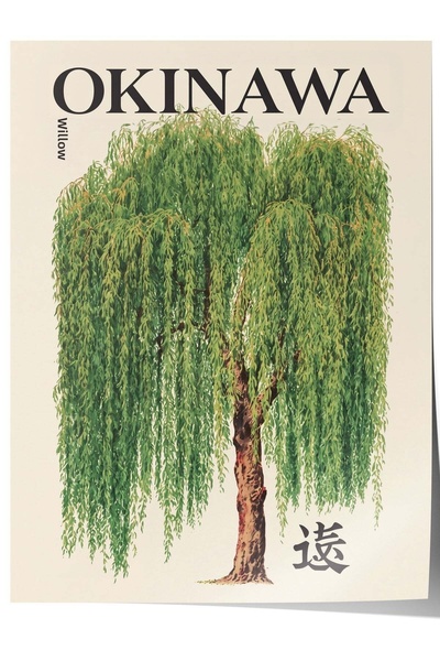 Postifull Poster fără ramă OKINAWA nr. 160170