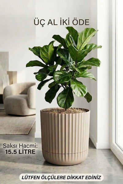 TEMMUZ HOME 15.5 Litre 1 Adet Tabaklı Büyük Boy Plastik Çiçeklik - Salon & Of...