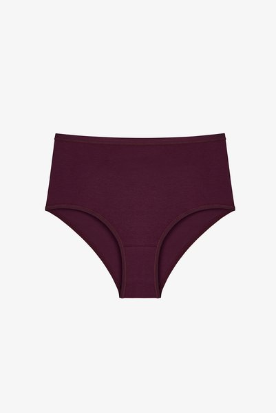 Penti Dark Mauve High Waist 5-Piece Slip Panties