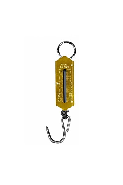 More Golden Hand Scale 25kg, Wholesale - EngrossOnline